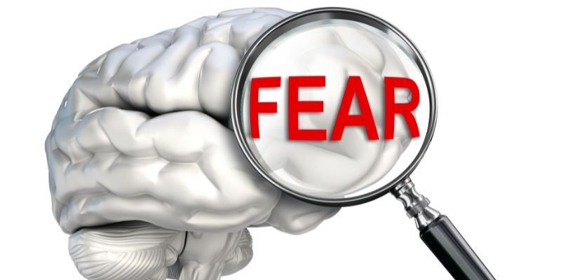 Fear is enigmatic and uniquely personal for each individual