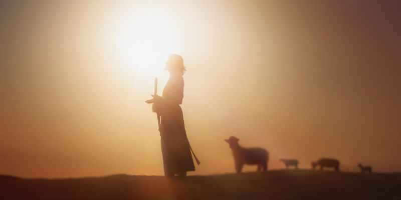 shepherd jesus christ leading the sheep and sun light and jesus bokeh silhouette